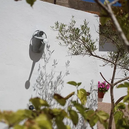 Apartamento Casa Leonor Vejer