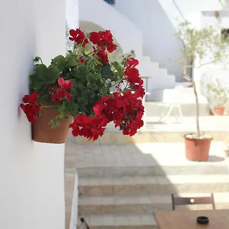 Casa Leonor Vejer Apartamento