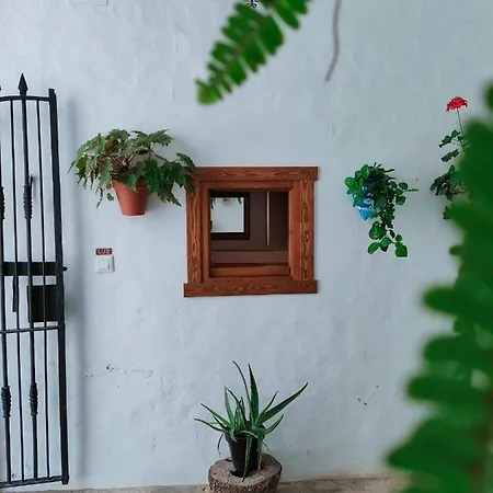 Casa Leonor Vejer *